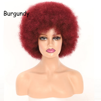 16" Women's Short Afro Kinky Curly Synthetic Afro Style Wig