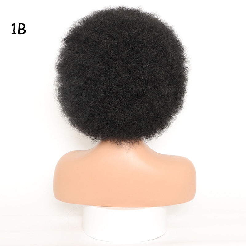 16" Women's Short Afro Kinky Curly Synthetic Afro Style Wig