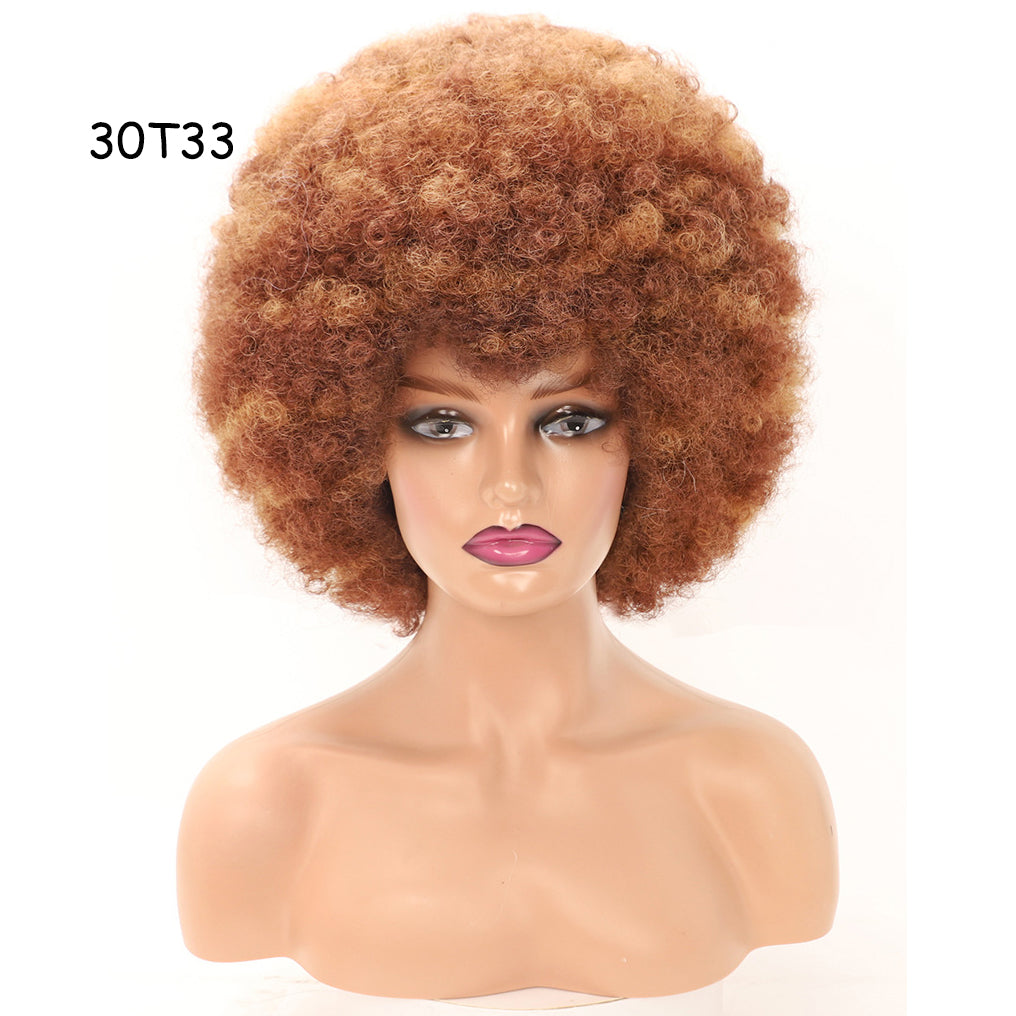 16" Women's Short Afro Kinky Curly Synthetic Afro Style Wig