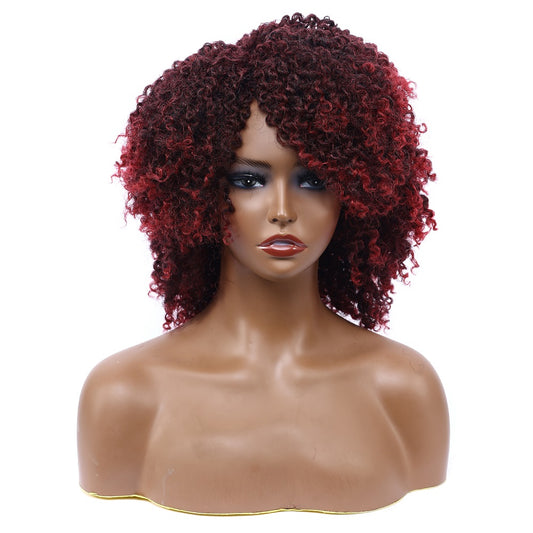 Afro Kinky Curly Synthetic Wigs Heat Resistant Fiber Full Hair Wig
