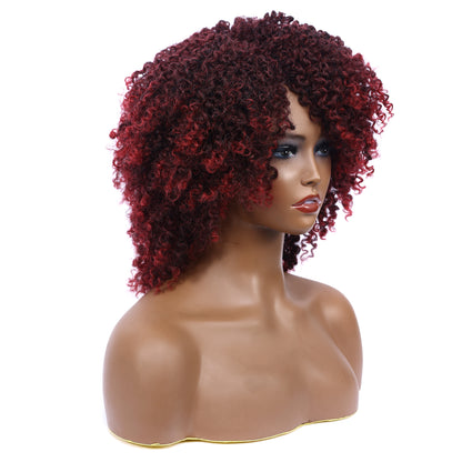 Afro Kinky Curly Synthetic Wigs Heat Resistant Fiber Full Hair Wig