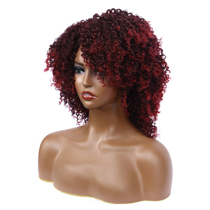 Afro Kinky Curly Synthetic Wigs Heat Resistant Fiber Full Hair Wig