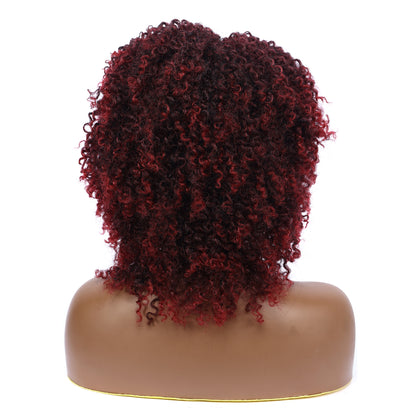 Afro Kinky Curly Synthetic Wigs Heat Resistant Fiber Full Hair Wig