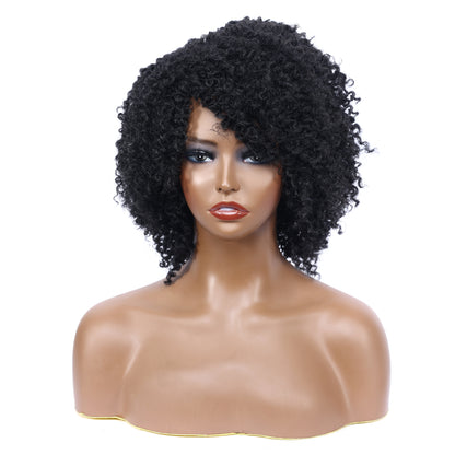 Afro Kinky Curly Synthetic Wigs Heat Resistant Fiber Full Hair Wig