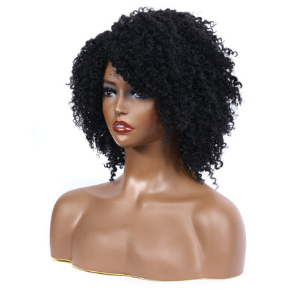 Afro Kinky Curly Synthetic Wigs Heat Resistant Fiber Full Hair Wig