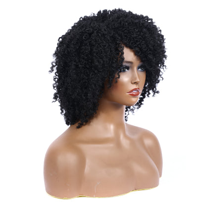 Afro Kinky Curly Synthetic Wigs Heat Resistant Fiber Full Hair Wig