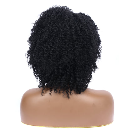 Afro Kinky Curly Synthetic Wigs Heat Resistant Fiber Full Hair Wig