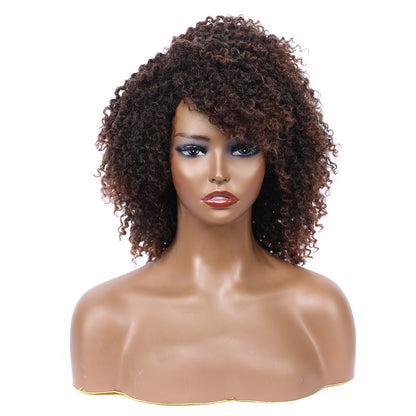 Afro Kinky Curly Synthetic Wigs Heat Resistant Fiber Full Hair Wig