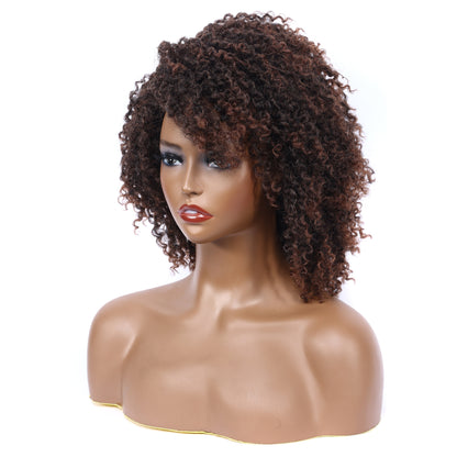 Afro Kinky Curly Synthetic Wigs Heat Resistant Fiber Full Hair Wig